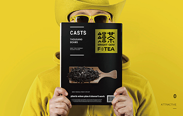 甘肃绯茶品牌设计